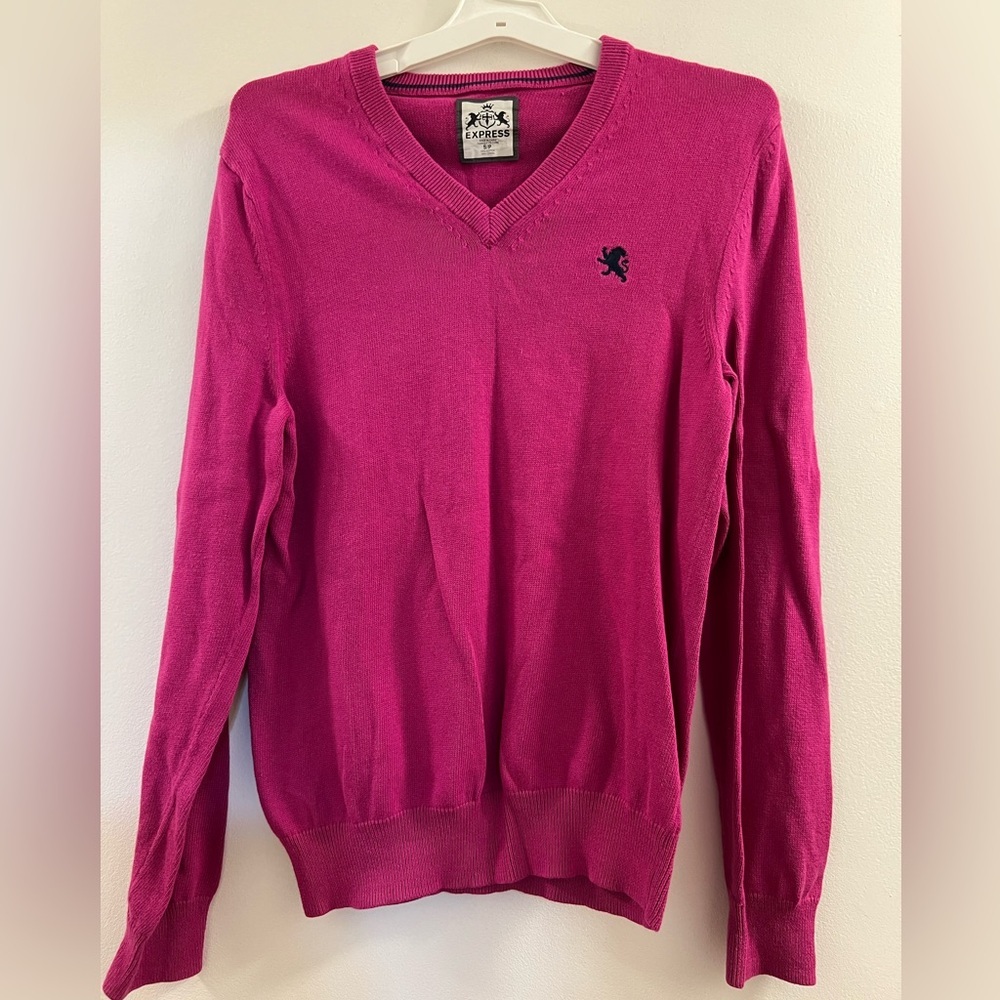 EXPRESS LONG SLEEVE V-NECK  SWEATER p2.